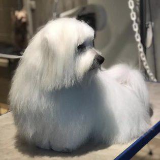 Mon look est parfait en sortant de chez Patt'Poil