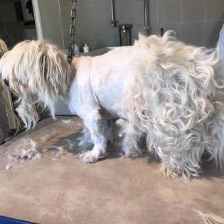 Je suis chez la coiffeuse !